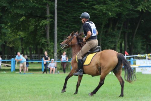 37 Hucuły na medal – emocjonujące kwalifikacje w Klikowskiej Ostoi cz. 2