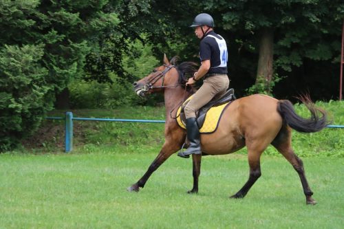 38 Hucuły na medal – emocjonujące kwalifikacje w Klikowskiej Ostoi cz. 2