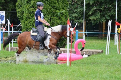 39 Hucuły na medal – emocjonujące kwalifikacje w Klikowskiej Ostoi cz. 2