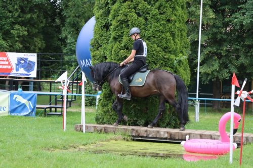 40 Hucuły na medal – emocjonujące kwalifikacje w Klikowskiej Ostoi cz. 2