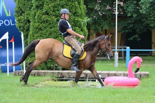 41 Hucuły na medal – emocjonujące kwalifikacje w Klikowskiej Ostoi cz. 2