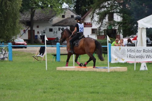 43 Hucuły na medal – emocjonujące kwalifikacje w Klikowskiej Ostoi cz. 2