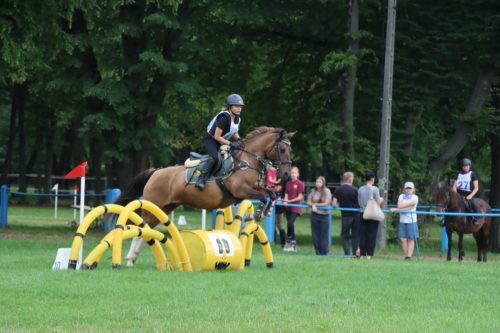 44 Hucuły na medal – emocjonujące kwalifikacje w Klikowskiej Ostoi cz. 2
