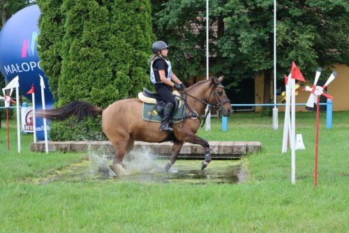 45 Hucuły na medal – emocjonujące kwalifikacje w Klikowskiej Ostoi cz. 2