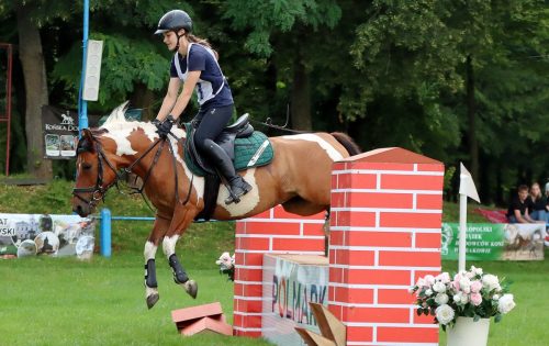 5 Hucuły na medal – emocjonujące kwalifikacje w Klikowskiej Ostoi cz. 2
