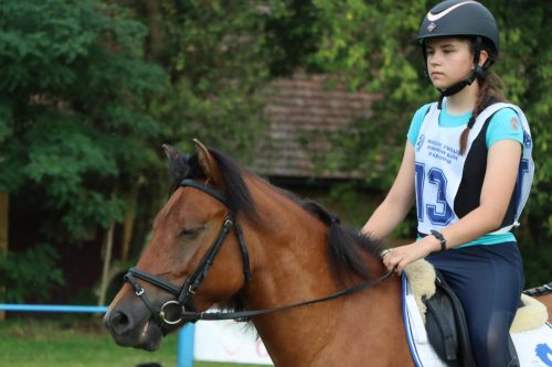50 Hucuły na medal – emocjonujące kwalifikacje w Klikowskiej Ostoi cz. 2