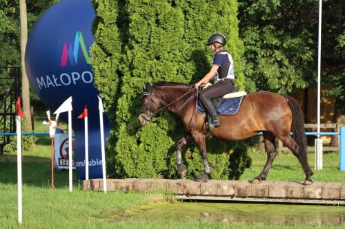 51 Hucuły na medal – emocjonujące kwalifikacje w Klikowskiej Ostoi cz. 2