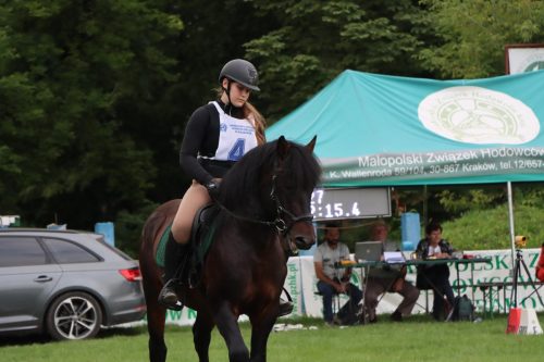 53 Hucuły na medal – emocjonujące kwalifikacje w Klikowskiej Ostoi cz. 2