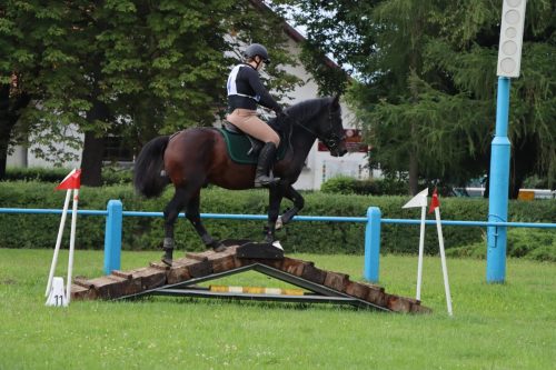 54 Hucuły na medal – emocjonujące kwalifikacje w Klikowskiej Ostoi cz. 2