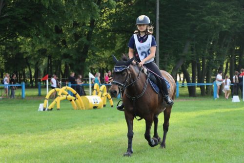 55 Hucuły na medal – emocjonujące kwalifikacje w Klikowskiej Ostoi cz. 2