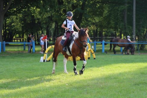 56 Hucuły na medal – emocjonujące kwalifikacje w Klikowskiej Ostoi cz. 2