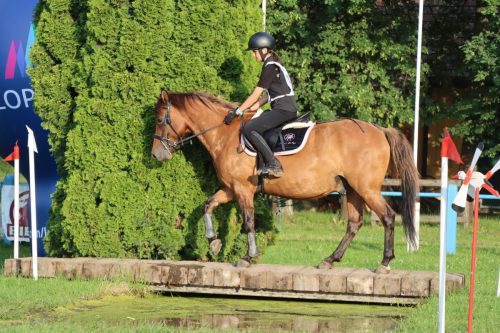 58 Hucuły na medal – emocjonujące kwalifikacje w Klikowskiej Ostoi cz. 2