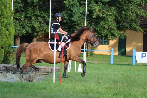 59 Hucuły na medal – emocjonujące kwalifikacje w Klikowskiej Ostoi cz. 2