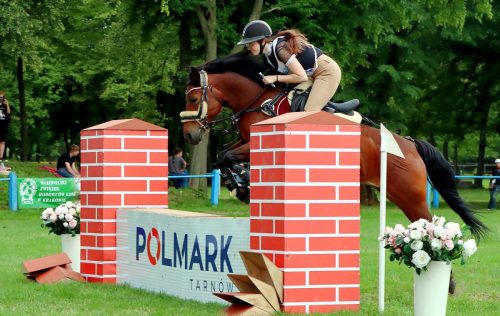 6 Hucuły na medal – emocjonujące kwalifikacje w Klikowskiej Ostoi cz. 2