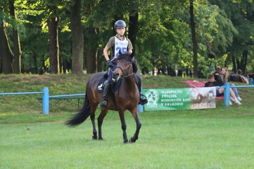 61 Hucuły na medal – emocjonujące kwalifikacje w Klikowskiej Ostoi cz. 2