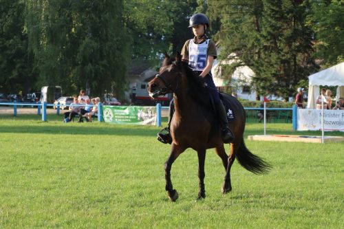 62 Hucuły na medal – emocjonujące kwalifikacje w Klikowskiej Ostoi cz. 2
