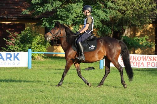63 Hucuły na medal – emocjonujące kwalifikacje w Klikowskiej Ostoi cz. 2