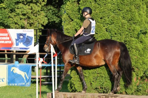 64 Hucuły na medal – emocjonujące kwalifikacje w Klikowskiej Ostoi cz. 2
