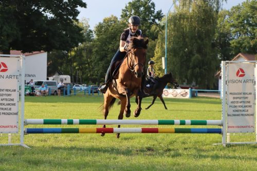 65 Hucuły na medal – emocjonujące kwalifikacje w Klikowskiej Ostoi cz. 2