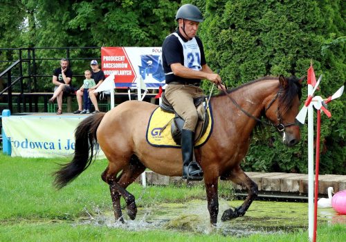7 Hucuły na medal – emocjonujące kwalifikacje w Klikowskiej Ostoi cz. 2