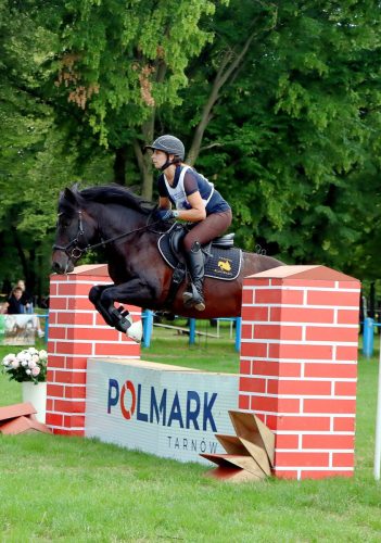 8 Hucuły na medal – emocjonujące kwalifikacje w Klikowskiej Ostoi cz. 2