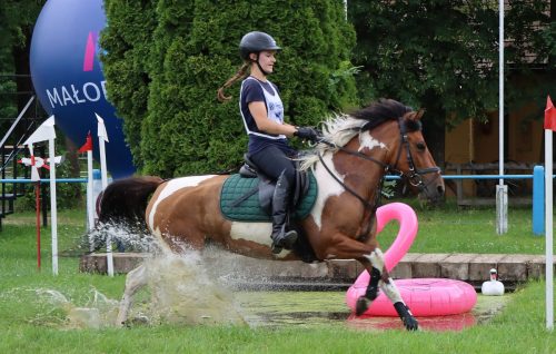 9 Hucuły na medal – emocjonujące kwalifikacje w Klikowskiej Ostoi cz. 2