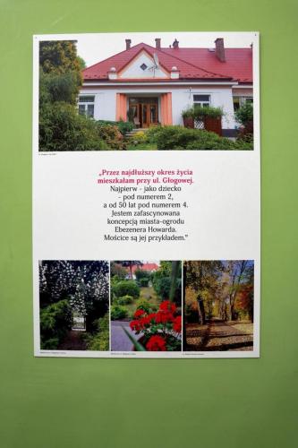 6-copy Wyjątkowy jubileusz w Galerii Hortar