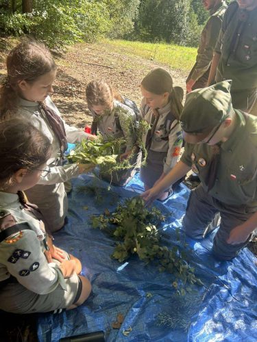 Messenger_creation_1167385055448447 II Edycja Gry Terenowej – Pamięć o Bohaterach z Jamnej