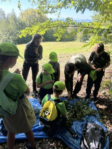 Messenger_creation_1351983866709589 II Edycja Gry Terenowej – Pamięć o Bohaterach z Jamnej