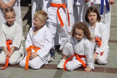 438145628_836809601811404_8768623558570842583_n Otwarty pokaz karate