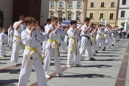440865143_836809985144699_3089781563248859181_n Otwarty pokaz karate