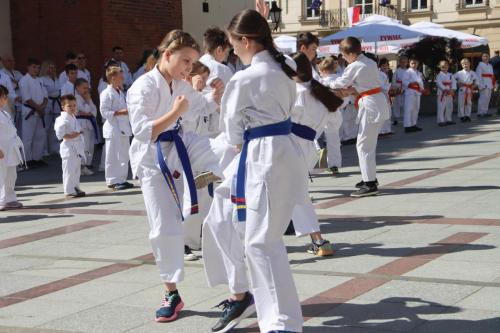 441073151_836809718478059_8358952341762097080_n Otwarty pokaz karate