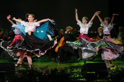 27-Copy Tarnowskie Stowarzyszenie Miłośników Muzyki Klasycznej "Via Musica" - Koncert Świąteczno - Noworoczny