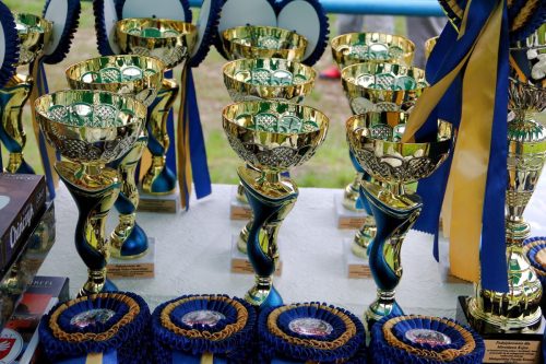 1-copy Małopolska Parada Koni 2025 w Klikowej