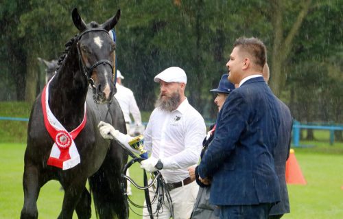 3b-copy Małopolska Parada Koni 2025 w Klikowej