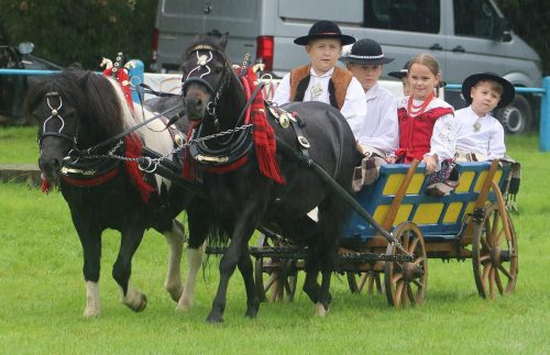 6-copy Małopolska Parada Koni 2025 w Klikowej