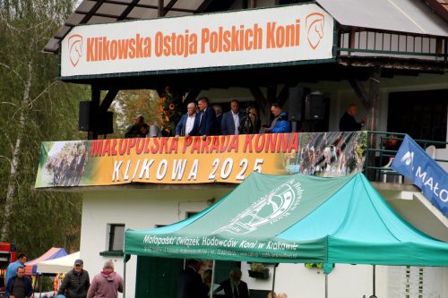 img-7352-edytowano-copy Małopolska Parada Koni 2025 w Klikowej
