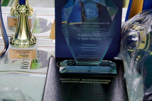 img-7360-edytowano-copy Małopolska Parada Koni 2025 w Klikowej