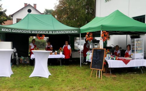 img-7368-edytowano-copy Małopolska Parada Koni 2025 w Klikowej