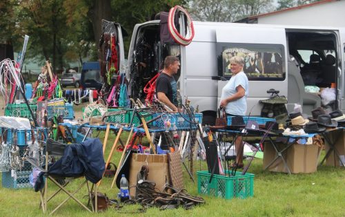 img-7372-edytowano-copy Małopolska Parada Koni 2025 w Klikowej