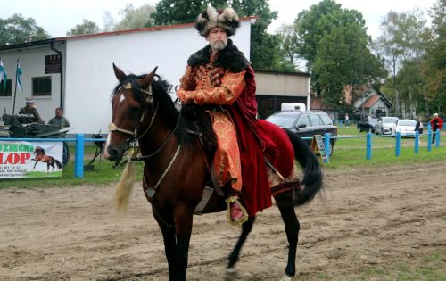 img-7377-edytowano-copy Małopolska Parada Koni 2025 w Klikowej
