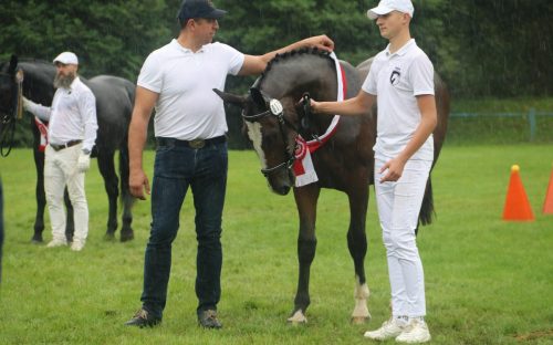 img-7423-edytowano-copy Małopolska Parada Koni 2025 w Klikowej