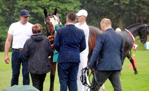 img-7424-edytowano-copy Małopolska Parada Koni 2025 w Klikowej