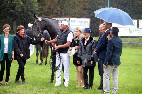 img-7428-edytowano-copy Małopolska Parada Koni 2025 w Klikowej