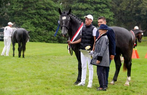 img-7437-edytowano-copy Małopolska Parada Koni 2025 w Klikowej