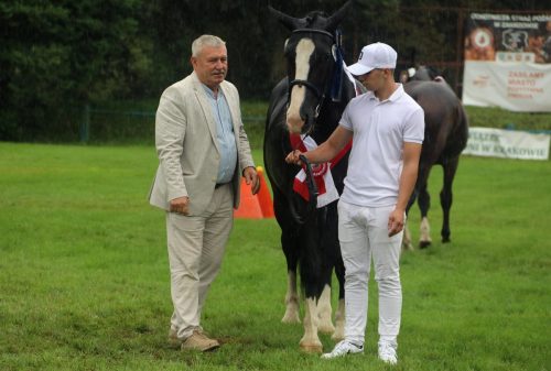 img-7442-edytowano-copy Małopolska Parada Koni 2025 w Klikowej