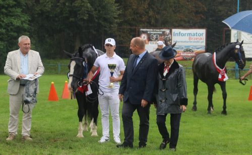 img-7447-edytowano-copy Małopolska Parada Koni 2025 w Klikowej