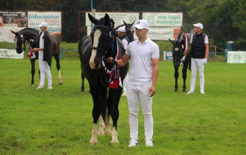 img-7459-edytowano-copy Małopolska Parada Koni 2025 w Klikowej