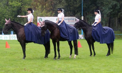 img-7492-edytowano-copy Małopolska Parada Koni 2025 w Klikowej