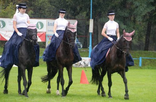 img-7496-edytowano-copy Małopolska Parada Koni 2025 w Klikowej